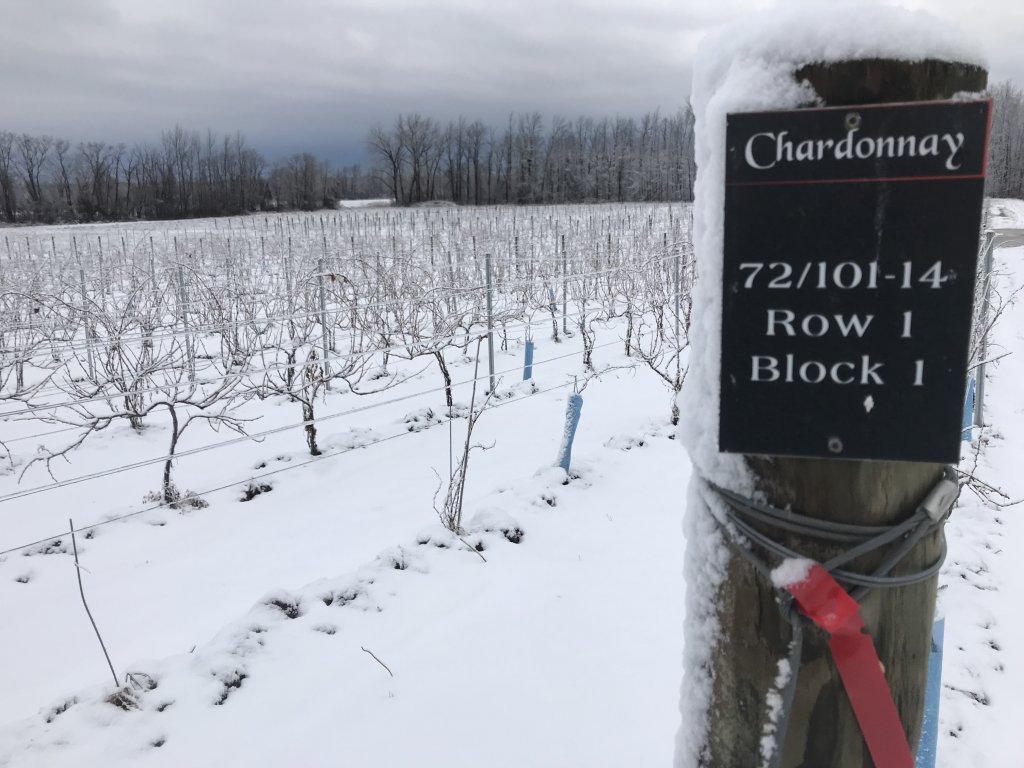 Quick Trivia w/ Mykee 2/28/26 4-6pm